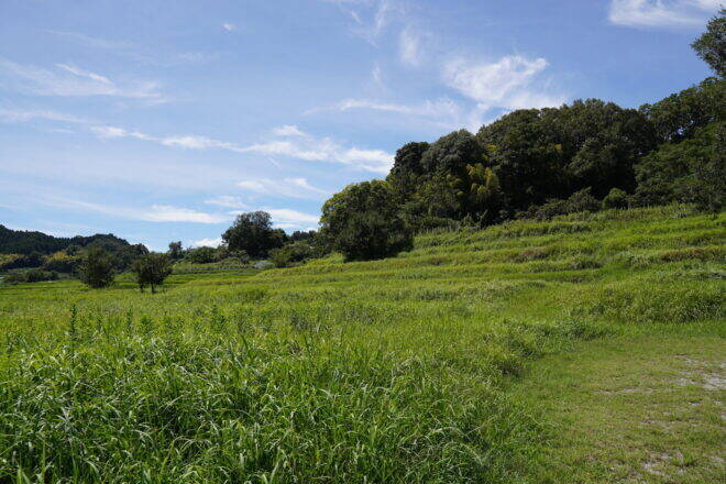 奈良・明日香村にある謎の石造物！その名も「マラ石」とは？正体不明の陽石のことを考えた