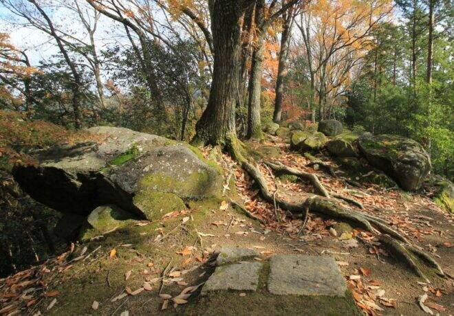 奈良・明日香村にある謎の石造物！その名も「マラ石」とは？正体不明の陽石のことを考えた