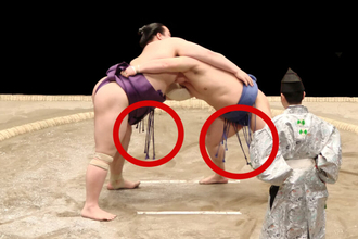 飾りではない！相撲の力士のまわしに付いた”のれん”みたいな「下がり」の目的と意外すぎるルーツ