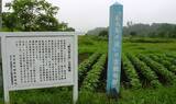 「源頼朝の先祖と死闘を演じた藤原経清（奥州藤原氏祖）の壮絶な生涯【その2】」の画像3