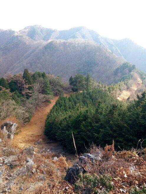 断崖絶壁の珍味…！悲しい伝説「吉作落とし」に登場する「岩茸」実際どんな形してるの？