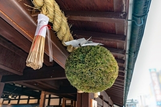 酒蔵の軒先に“丸い杉の玉”がぶら下がっている理由――「杉玉」の歴史と色の秘密