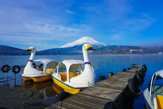 日本のレジャーの原風景『スワンボート』なぜここまで定着？爆売れさせた奇跡の改良…それは“しっぼ”