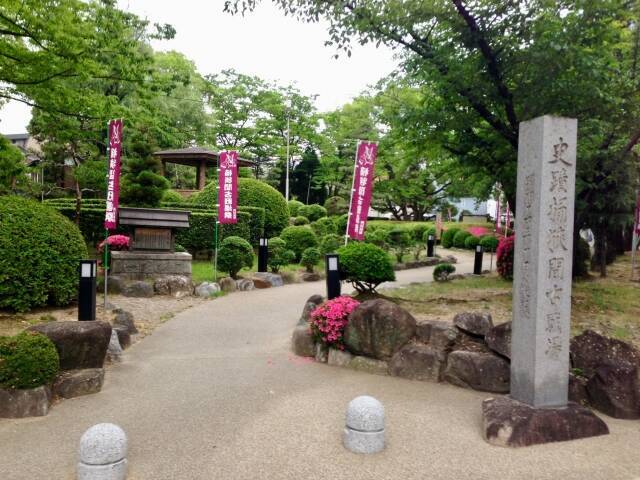 「桶狭間の戦い」はなぜ起きた？正確な場所はどこ？有名なのに実は不明点だらけ…【後編】