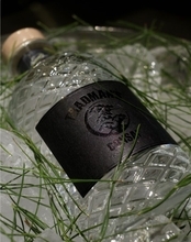 盆栽から香りの一滴へ。”松葉”を蒸溜したクラフトジン「TRADMAN’S 松葉ジン」が新発売