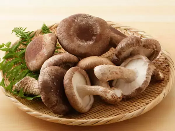 「【最終回】「鎌倉殿の13人」義時たちに待ち受ける、それぞれの結末。第48回放送「報いの時」振り返り」の画像