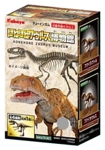 福井県で発掘された恐竜の化石がモチーフ　カバヤの食玩「ほねほねザウルス博物館」