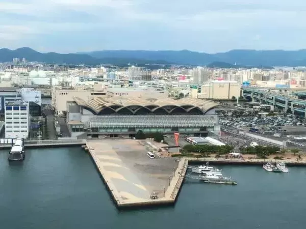 Snow Manチケット抽選後すぐ転売　不正防止には取り組んでいるのに