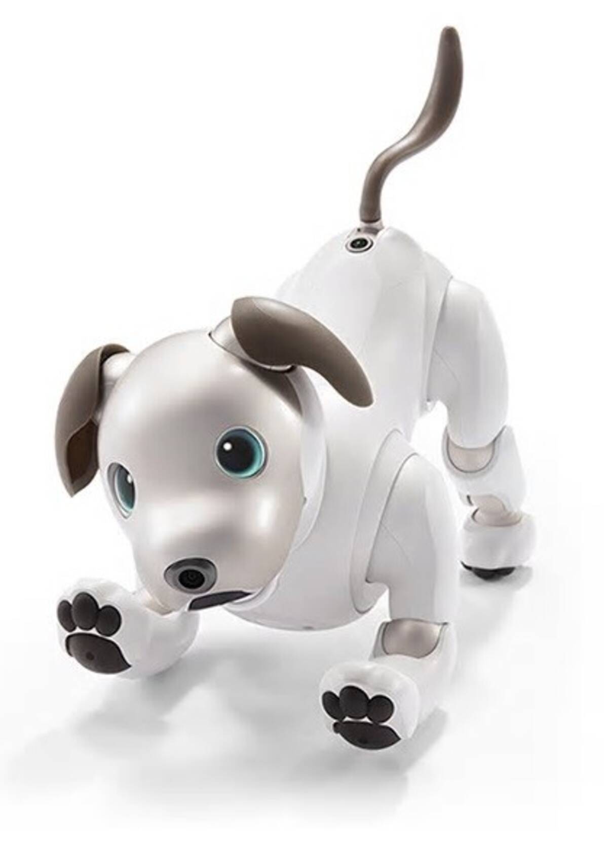 ソニー ロボット犬 Aibo 発売 12年ぶり 17年11月2日 エキサイトニュース
