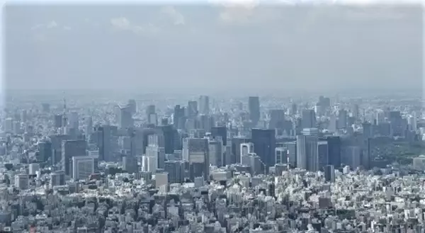 「スープ専門店「スープストック」 スプーンや植木鉢型カップに隠された秘密」の画像