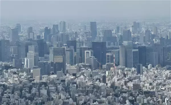 2019年粉飾企業の倒産、大幅増加　「10年以上」「20以上の金融機関」を欺き......