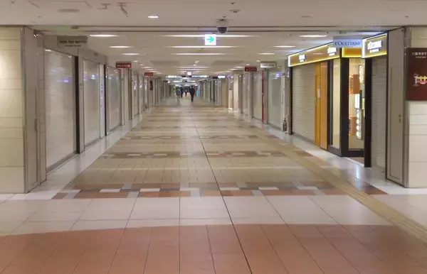 「コロナ時代の世界潮流を読む　米国は覇権手放し、ドルは基軸通貨から追われる」の画像