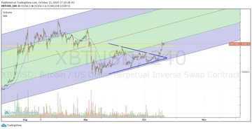 専修大がプラス 着実に利益を積む慶大に待ったをかけるのはどこだ！（1）【カソツー大学対抗戦 第25週】
