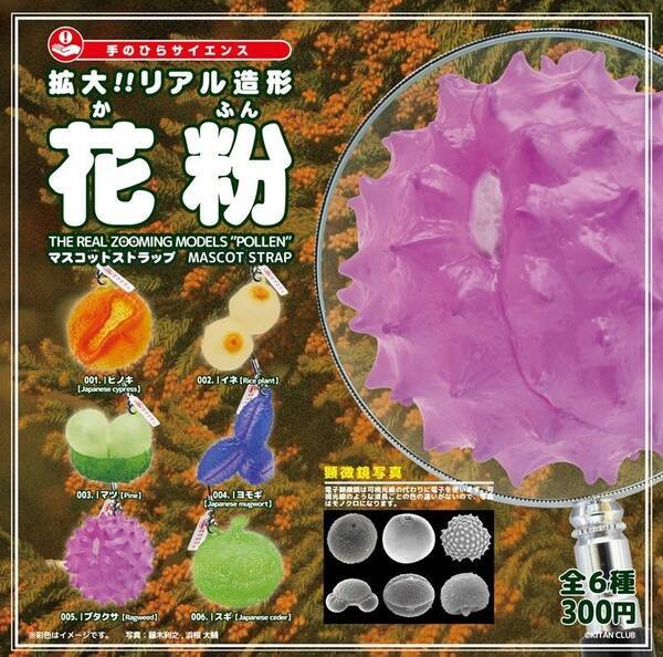 日本人を悩ませる 花粉 がストラップに 顕微鏡拡大で 憎さ00倍 のキモさ 16年10月29日 エキサイトニュース