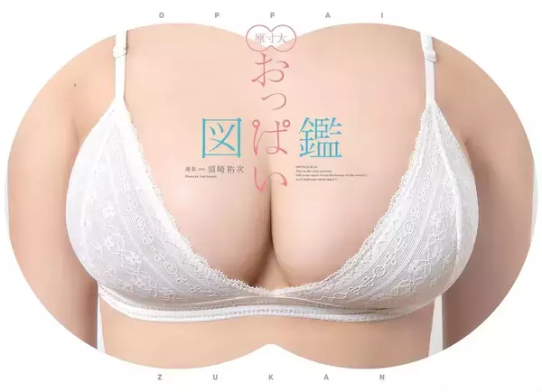 「A～Kカップを、これ一冊で堪能！　グラドル30人の「原寸大おっぱい図鑑」」の画像