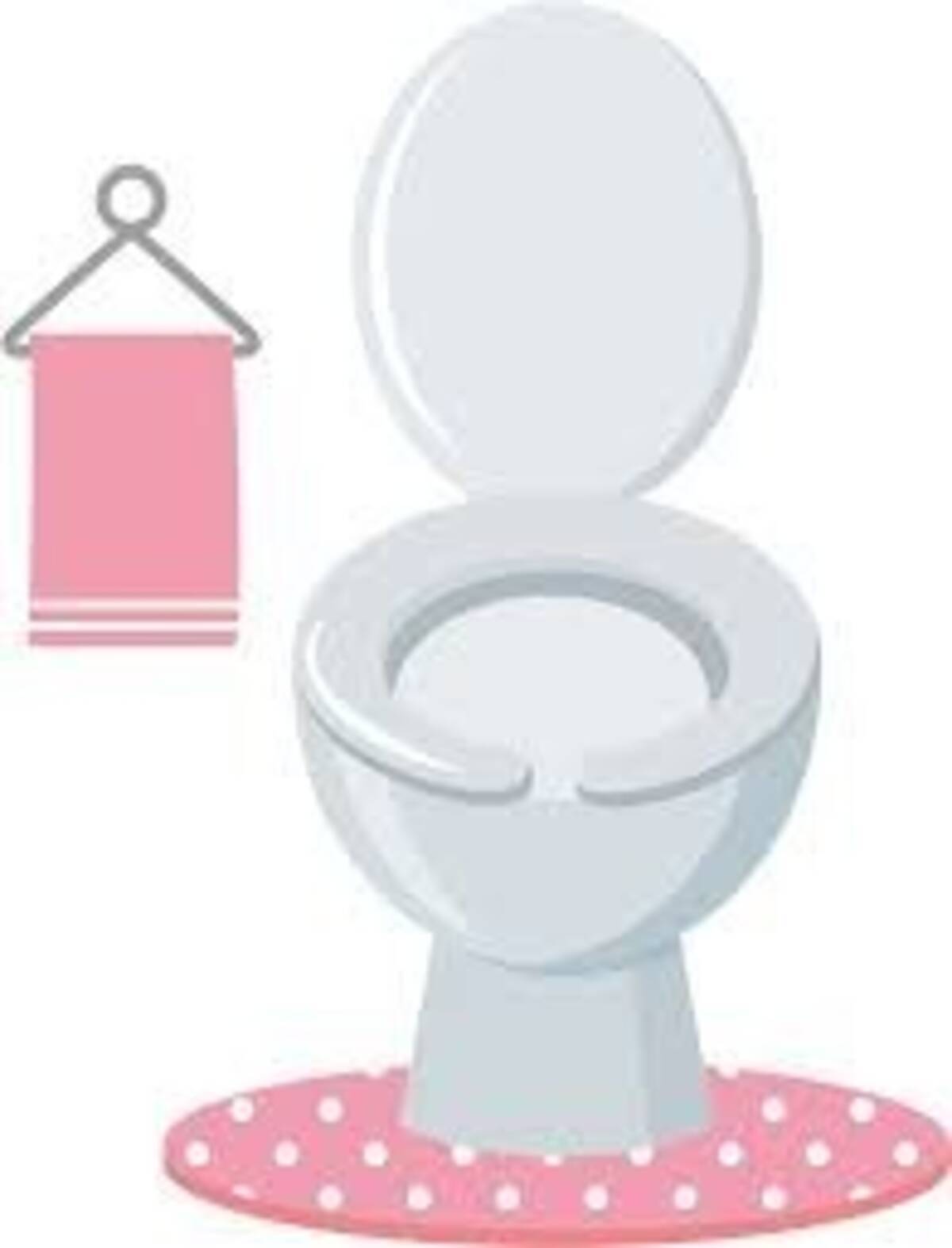 再燃 トイレのふた 閉める 閉めない 対決 衛生上はどっちがいいの 18年6月27日 エキサイトニュース