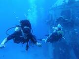 「あなたはどうしてダイバーに？　スキューバダイビングの教育機関が調査」の画像1