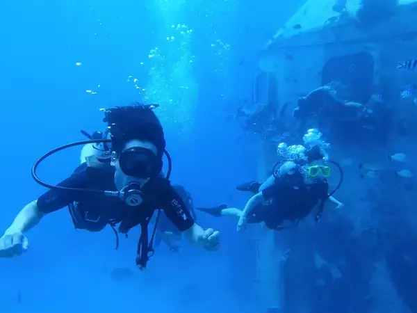 「あなたはどうしてダイバーに？　スキューバダイビングの教育機関が調査」の画像