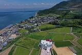 「キティちゃん、淡路島で「夢」を叶える　巨大な顔も畑に出現」の画像1