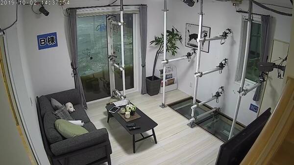 台風や豪雨でも浸水 逆流 水没しない 耐水害住宅 大型降雨施設で公開実験 19年11月1日 エキサイトニュース