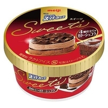 2種のアイスとチョコソース＆クッキー　「4層仕立てのガトーショコラ」