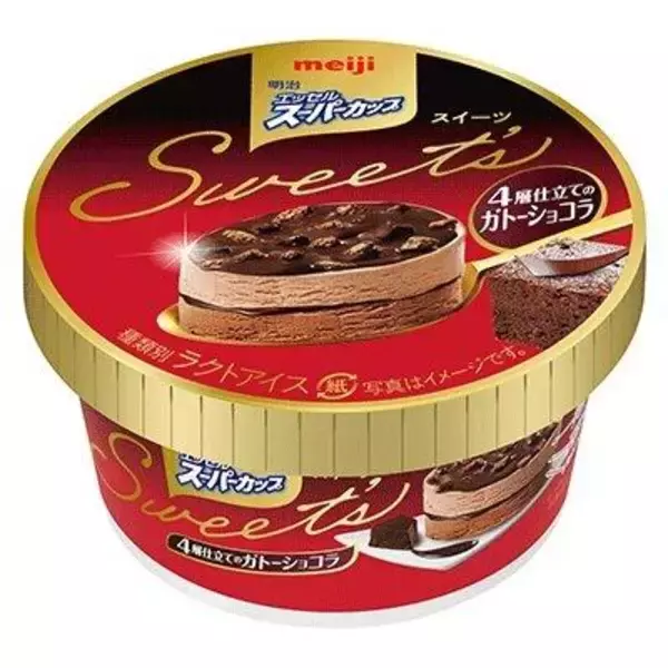 2種のアイスとチョコソース＆クッキー　「4層仕立てのガトーショコラ」