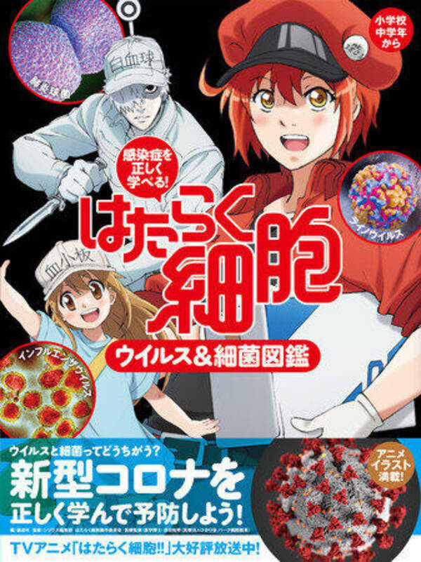 はたらく細胞 のアニメイラストで学ぶ 感染症やウイルス 細菌の図鑑 21年1月25日 エキサイトニュース