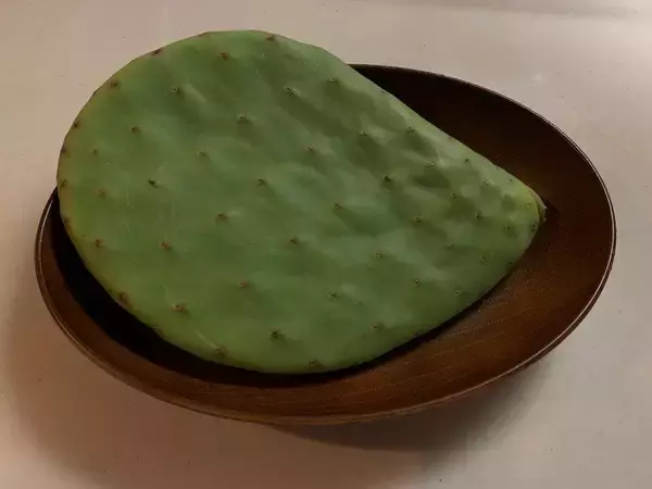 「ドラクエで登場「サボテンステーキ」を頂く　食べて分かった！和食がイケる」の画像