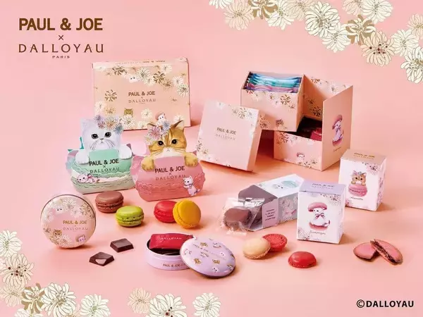 フランス発祥ダロワイヨとPAUL & JOEのコラボ　猫が愛らしい「ニャカロン」