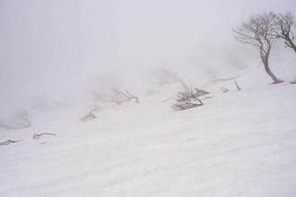 「最強」寒波の影響　阿部祐二が「非常に危険な状態」と伝えた事態