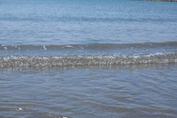 ワイドショー通信簿 横浜の水路に 熱帯魚ウジャウジャ のナゼ 阿部祐二が なるほど レポート スッキリ 22年5月19日 エキサイトニュース