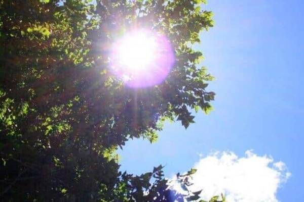 ワイドショー通信簿 玉川徹 そろそろ日傘を使おうかなと 石原良純 何を言ってるんですか と反論のワケ モーニングショー 22年5月30日 エキサイトニュース