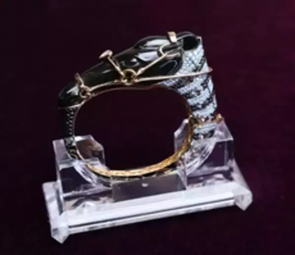 「Hong Kong International Jewellery Show opens today showcasing global designs and trends」の画像