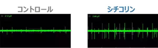 「キリンと富士通、創薬DX技術を活用し、AIと実試験でシチコリンの腸脳作用メカニズムを解明」の画像