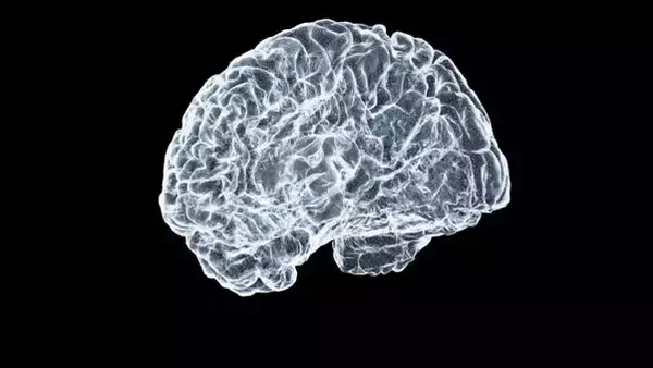 「Graphene quantum dots show promise in targeting Parkinson's-related protein clumping」の画像