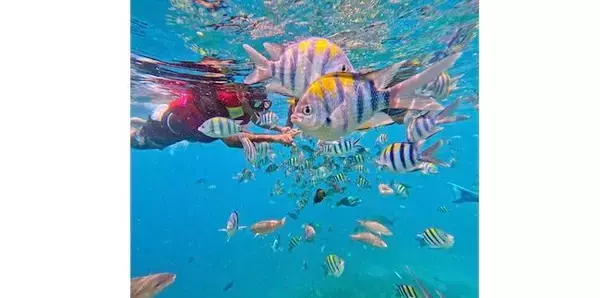 TransNusa Strengthens Domestic Network Connection with New Route Launch and Increased Scheduled Flight Frequency