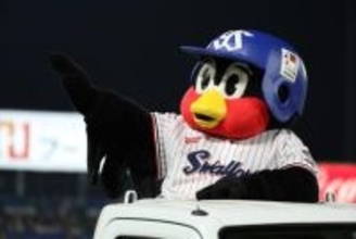 つば九郎、３１日に活動再開＝プロ野球・ヤクルト