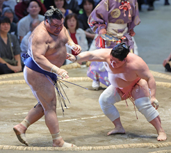 敗れた高安