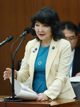 消費税減税、審議本格化