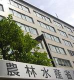 「コメの相対価格、下落に転じる＝１１月、前年比は５２％高―農水省」の画像1