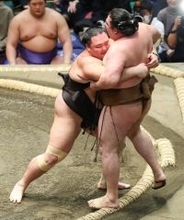 朝乃山の寄り切り