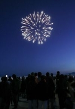 夜空を彩る鎮魂の花火＝犠牲者、ふるさとに思いはせ―東日本大震災１５年