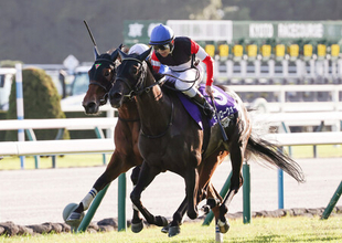 モンローウォークがＧI初制覇＝レコードで競り勝つ―競馬秋華賞