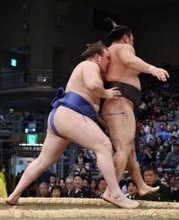 安青錦「自分の相撲」＝大相撲九州場所