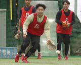 「練習する平川　プロ野球」の画像1