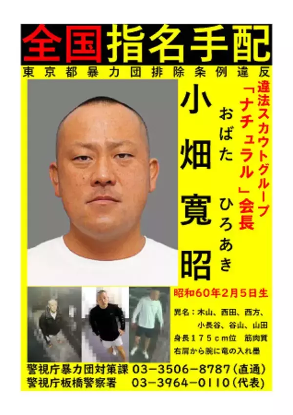 「ナチュラル」トップを公開手配