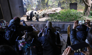 パンダ、「中国でも元気で」＝最終観覧日、２７日出発―上野動物園