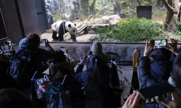 パンダ、「中国でも元気で」＝最終観覧日、２７日出発―上野動物園