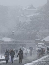 福井、京都、鳥取は「顕著な大雪」＝東京都心も積雪５センチ、交通障害警戒