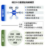 「重要鉱物、脱中国で複数枠組み＝先進国、産業育成を加速」の画像1